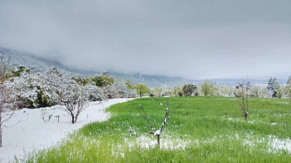 雪景下的美鲁麦田