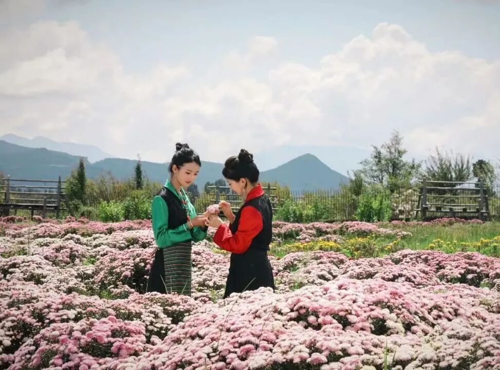 微信图片_20251031100704_227_2.jpg