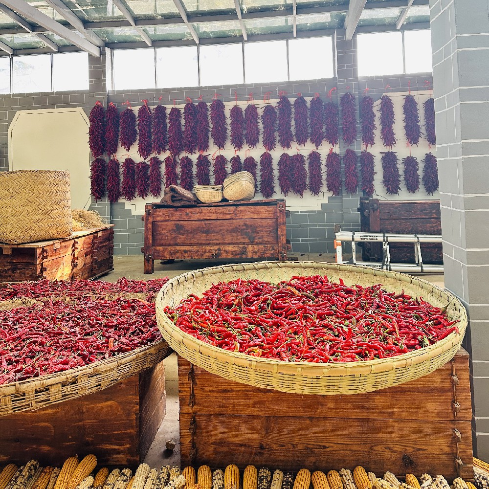 红辣椒串起的秋日烟火