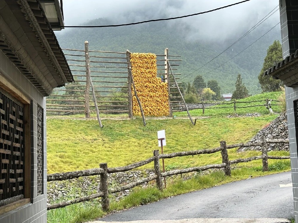 纳西文化之旅：祖迹里的农耕传承