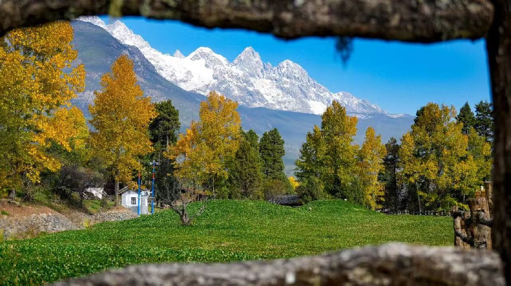 美鲁纳西村招聘